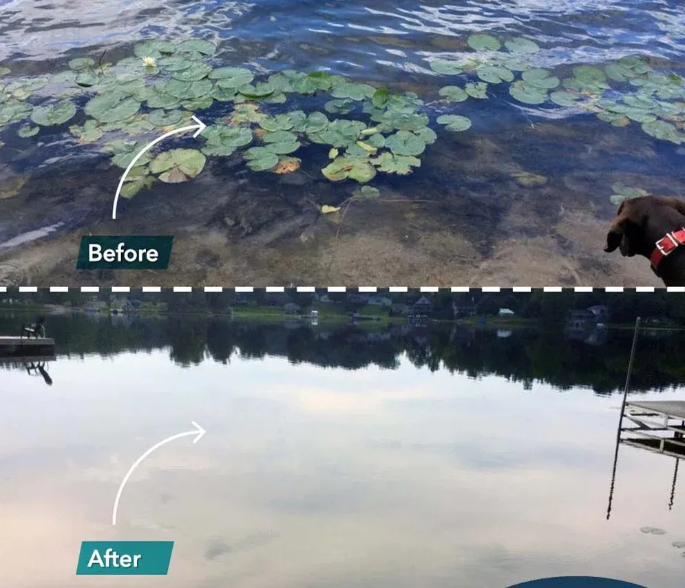 2BeforeAfter12_1200x (3).webp