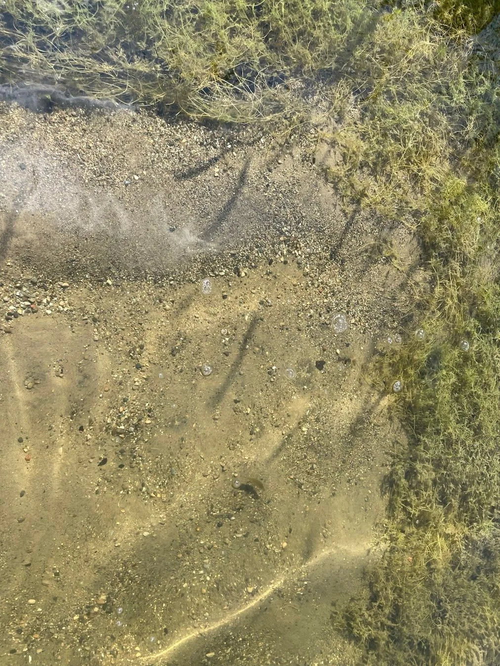 Sand over the MuckMat to kill off weeds and make a sandy beach on lake