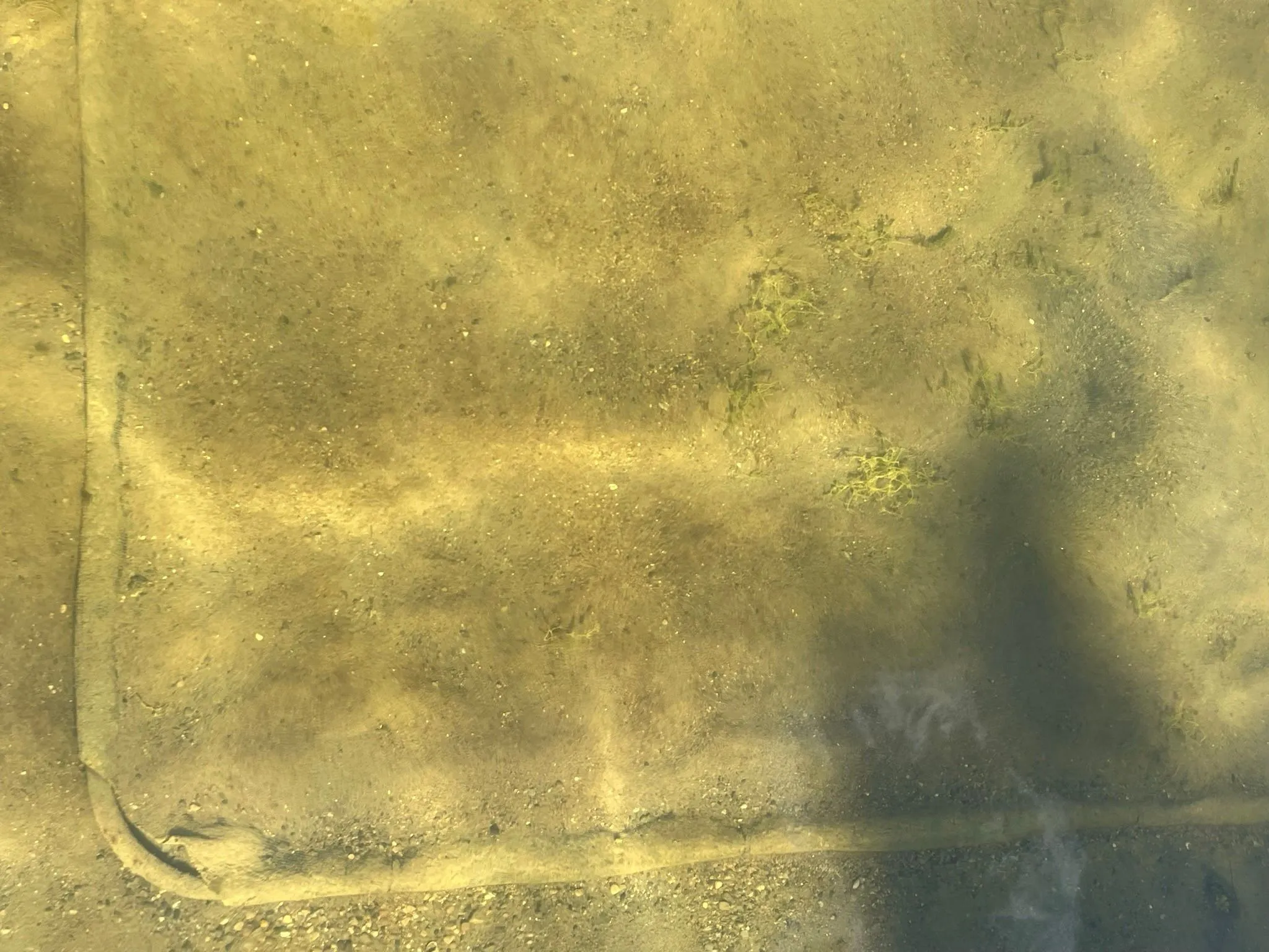 LakeMats are designed to not move with water current
