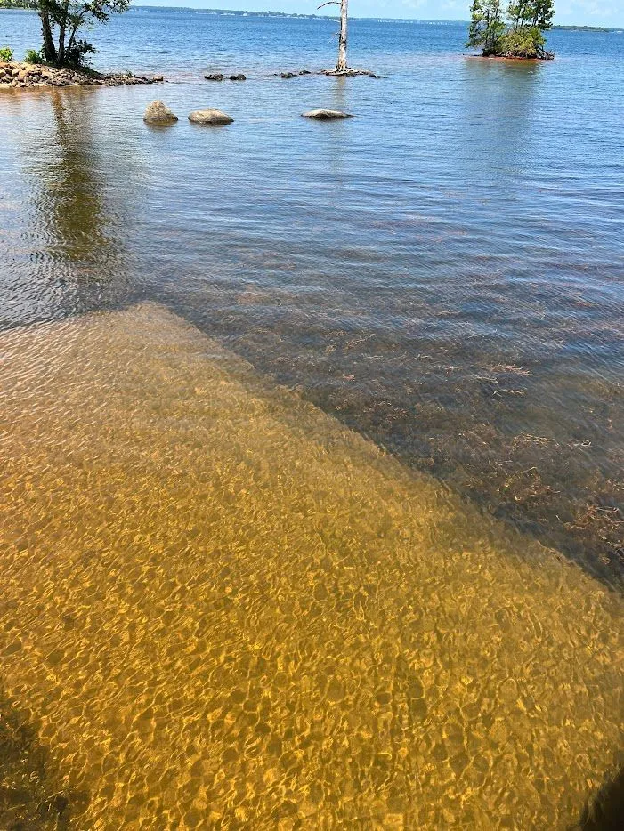 LakeMats kill off lake weeds quick and easily