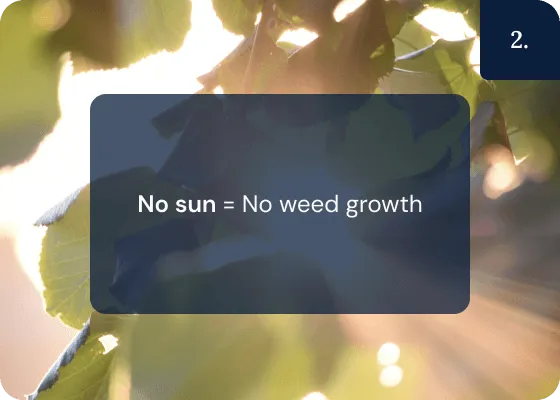 Mats work by preventing sunlight giving nutrients for weeds